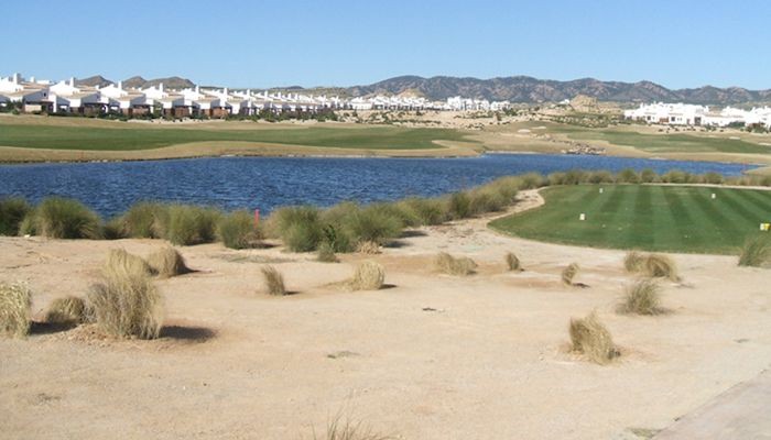 valle-8