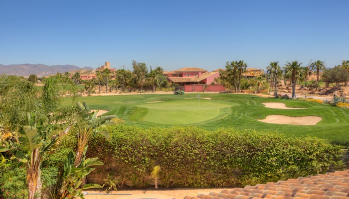 DSG Photos 29 Desert Drive-TopView